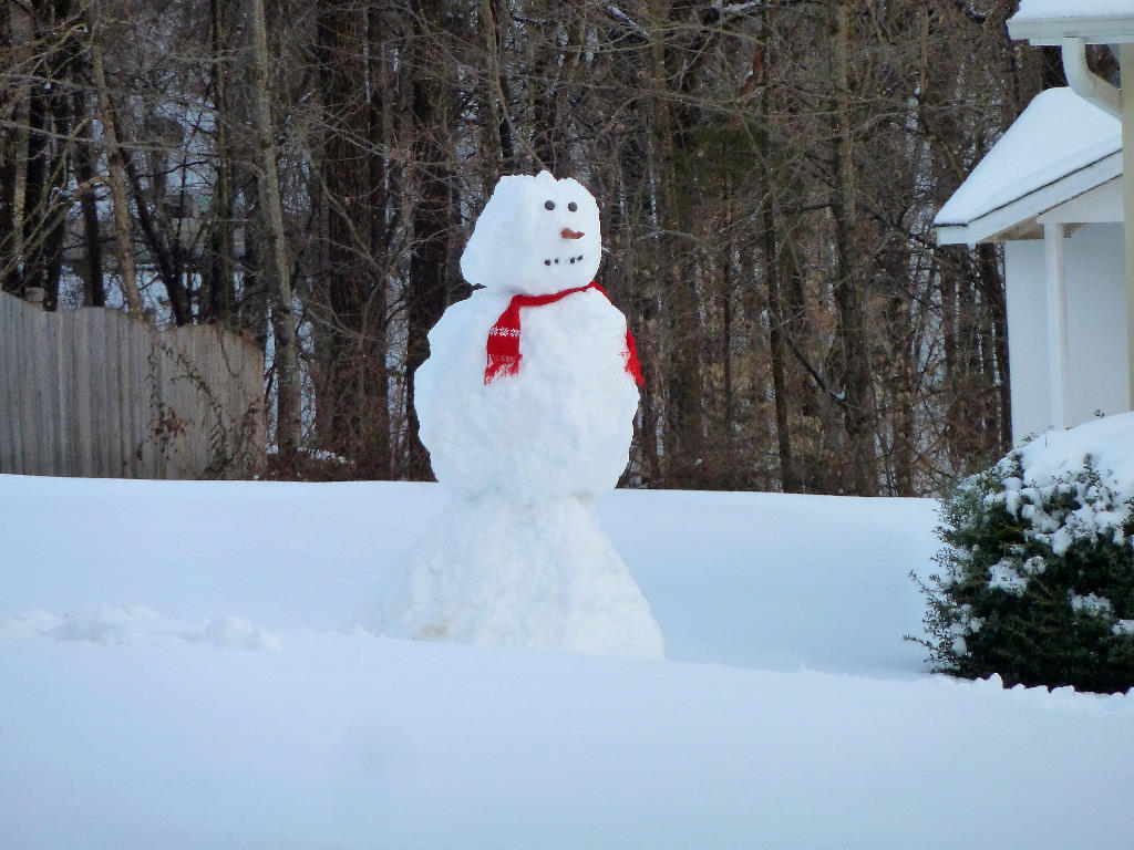 Snow Storm 2104